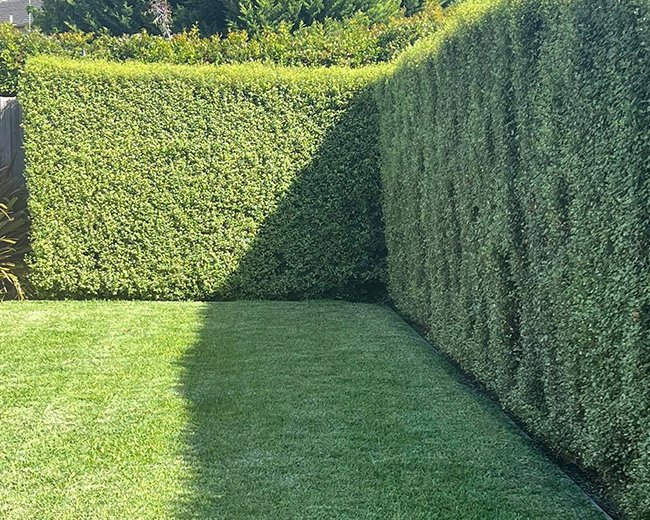 Contact Garden Services in Lysterfield